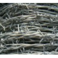 Single strand galvanized barbed wire